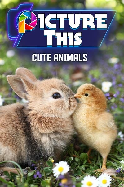 Picture This - Cute Animals